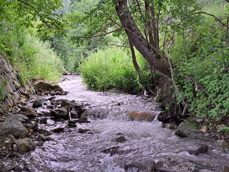 The Sasa River Saliste Valcea